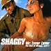 Mr. Lover, Lover - The Best Of Shaggy Part 1