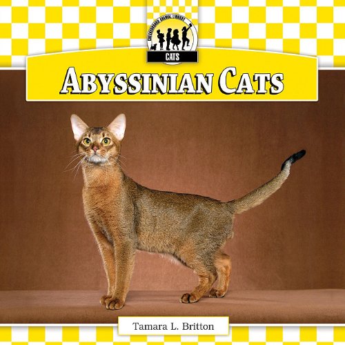 Abyssinian Cats (Checkerboard Animal Library: Cats)