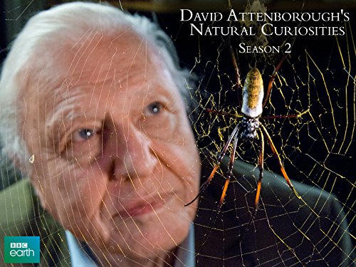 David Attenborough's Natural Curiosities, Season 2