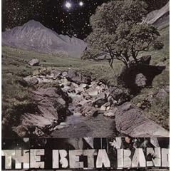 Beta Band (Vinyl)