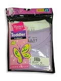 Hanes - Toddler Girls 2 Pack T-Shirt Package, White, Lavender (Size 2/3)