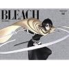 BLEACH 破面(アランカル)・激闘篇 1 【完全生産限定版】