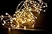 [Gorgeous LED String Lights]Copper Wire Lights, LED Warm White String Lights, LED Starry String Lights,Decor Rope Lights for Christmas, Indoor,Outdoor,Gardens,Homes, Party (120leds,20ft,WarmWhite)