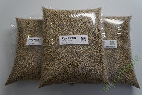 15 pounds rye berries whole grain grass seed for bread baking flour beer making