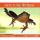 Here Is the Wetland (Web of Life)
