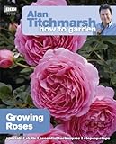 Growing roses
