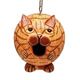 Bobbo Birdhouse Gord-O Cat Orange Tabby