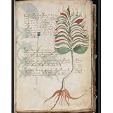 Voynich Manuscript : Complete Cover to Cover