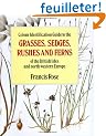 Colour Identification Guide to the Grasses, Sedges, Rushes and Ferns of the British Isles and North Western Europe
