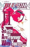 BLEACH Spirits Are Forever With You II (JUMP J BOOKS)