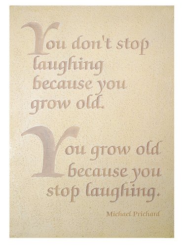 Childrens Toyshop  Outdoor Living : Ornamental Garden Wall Plaque: Words of Wisdom: You Don't... (Small)