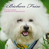 Bichon Frise 2012 Wall Calendar #DOG07