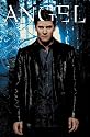 Angel: The Curse