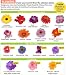 AeroGarden Custom Flower Seed Kits