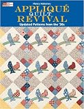 That Patchwork Place-Applique Quilt Revival
