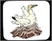 Mouse Pad with gannet, seabird, wings, mating, bird