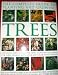 The Complete Guide to Planting and Growing Trees