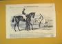 1859 Horse Sport Promised Land Thousans Guineas Winner