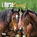 Horse Lovers 2015 Calendar