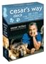Cesar's Way Deck: 50 Tips for Training and Understanding Your Dog
