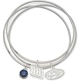 LogoArt Dale Earnhardt, Jr. Crystal Bracelet