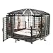 WWE Elimination Chamber_s-1