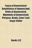 Fauna of Queensland: Amphibians of Queensland, Birds of Queensland, Mammals of Queensland, Platypus, Koala, Cane Toad, Sugar Glider-