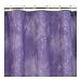 Caribbean Coolers Shower Curtain - Purple (72x72") [Kitchen]