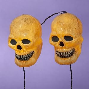 Set of 5 Battery Operated Musical Skull Novelty Halloween Lights by 