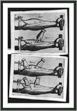 Historic Print (S): [Forearm with arteries marked to show blood flows from heart in continuous one-way cycle