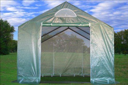 Large Heavy Duty Green House Walk in Greenhouse Hot House 10' X 10'
