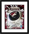 Phoenix Coyotes NHL Framed 8x10 Photograph Team Logo and Hockey Puck