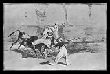 Francisco de Goya y Lucientes (Follow the 