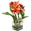 Dendrobium Orchid in Square Vase - Orange/Red(17 x 14 x 17")