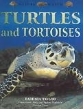 Turtles and Tortoises