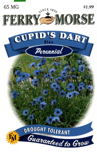 Ferry-Morse 1041 Cupid's Dart Perennial Flower Seeds, Blue (65 Milligram Packet)