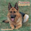 German Shepherds 2007 Wall Calendar