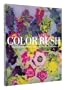 Color Rush: American Color Photography from Stieglitz to Sherman