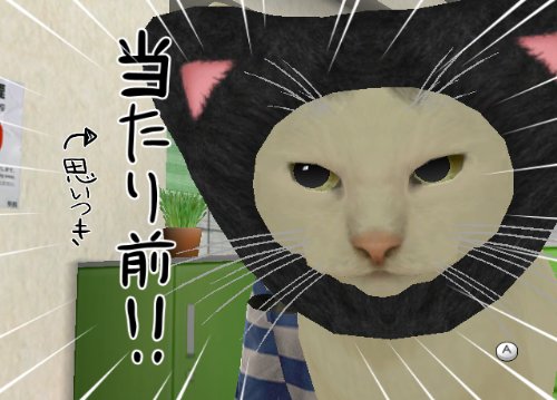 女番社長レナ Wii
