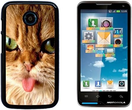 Kitten Cat Pet Cute Hard Plastic and Aluminum Back Case for Motorola Moto E