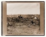 Civil War Photo (M): Fort Burnham formerly Confederate Fort Harrison James River Virginia with man on ho