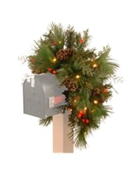 Home: National Tree DC13-116-36MB-1 Decorative Collection White Pine Mailbox Swag with 63 Soft White and Red LED Battery Operated Lights, 36-Inch - National Tree