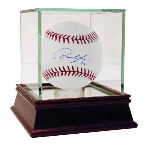 MLB Detroit Tigers Austin Jackson Autographed MLB Baseball