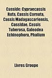 Cassid: Cypraecassis Rufa, Cassis Cornuta, Cassis Madagascariensis, Cassidae, Cassis Tuberosa, Galeodea Echinophora, Phalium-
