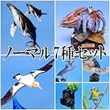 ネイチャーテクニカラー 小笠原 【ノーマル7種セット】