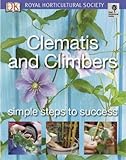 Clematis and climbers