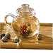 Primula Glass Teapot with 6 Tea Flowers