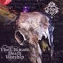 Ultimate Death Worship