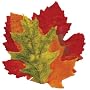 Sisson Imports French Leaves, Assorted, Set of 20