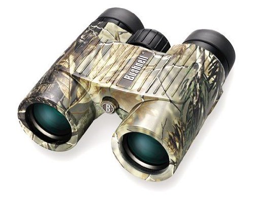 Bushnell Excursion 8x32 Waterproof/Fogproof Roof Prism Binocular (Realtree AP Camo)
